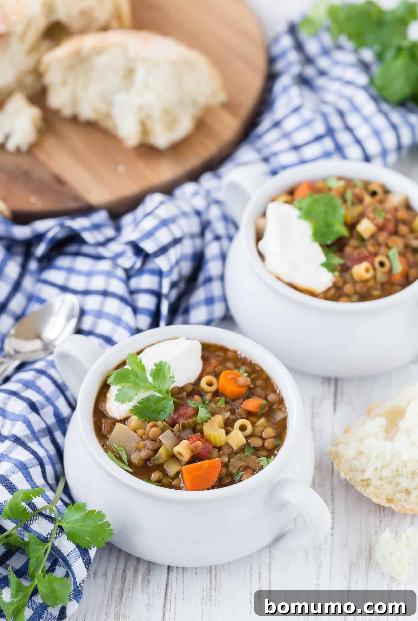 Image of two bowls of hearty lentil soup made with brown lentils, carrots, celery, tomatoes, and pasta. The vibrant colors of the vegetables are clearly visible.