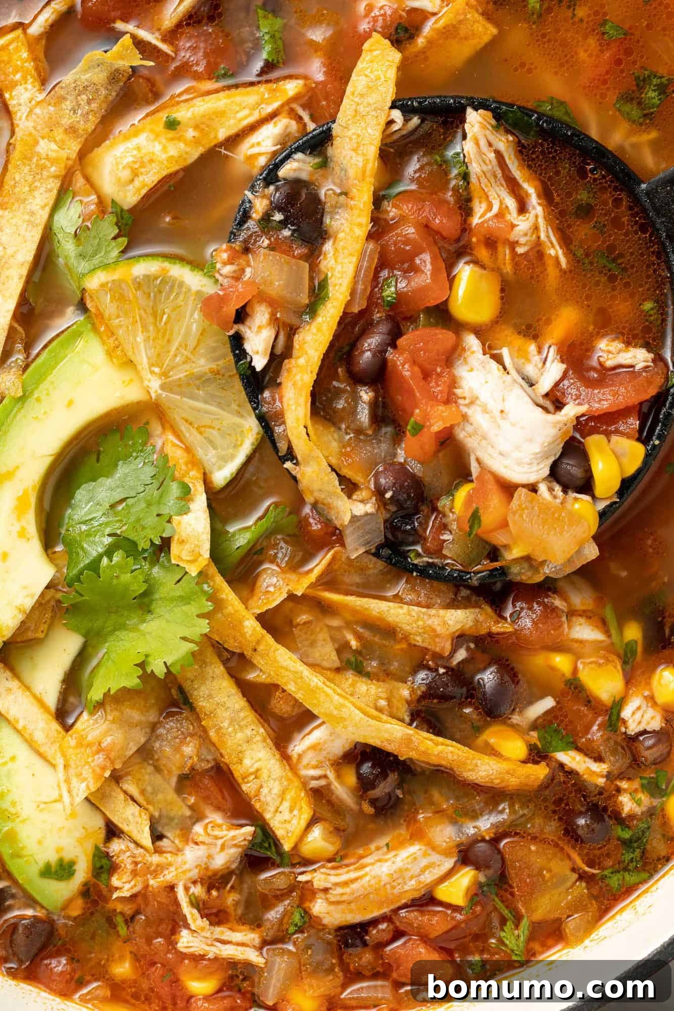 Very close up image of chicken tortilla soup.