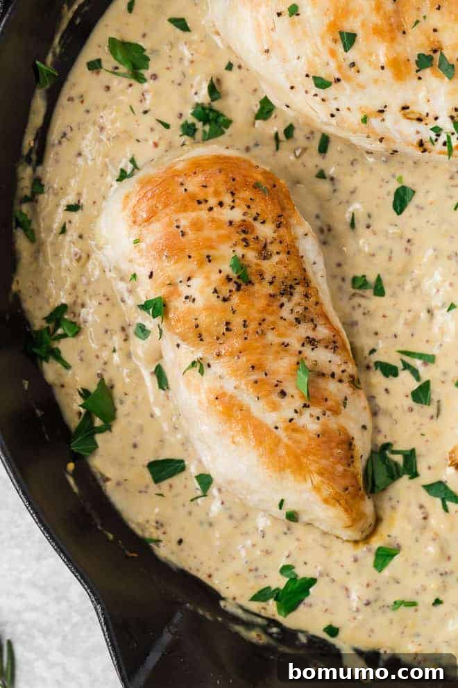 Image of perfectly browned chicken breasts coated in a creamy Dijon sauce within a frying pan.