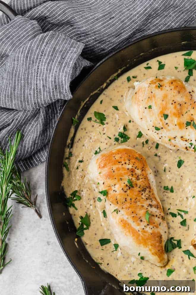 Image of golden-brown chicken in a rich, creamy mustard sauce, ready to be served.