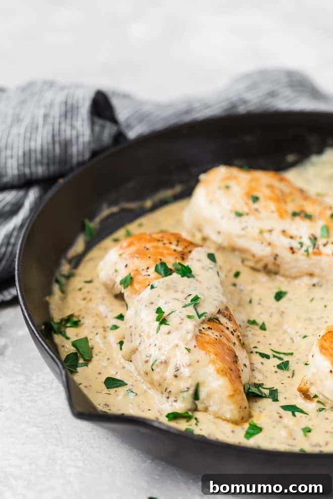 Image of creamy mustard chicken served in a frying pan, ready to be dished out.