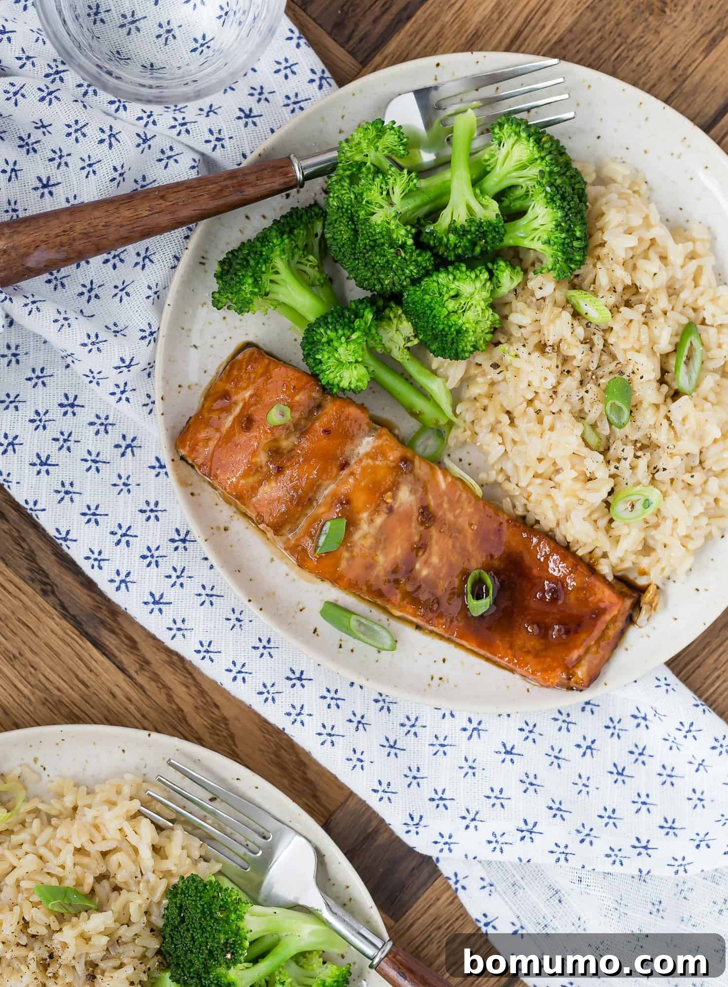Perfectly prepared salmon glazed with soy sauce and honey, showcasing its flaky texture and glossy finish.