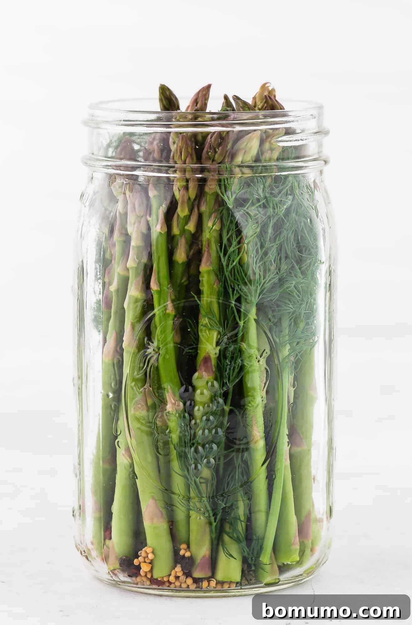 Pickled asparagus in a jar against a white background.