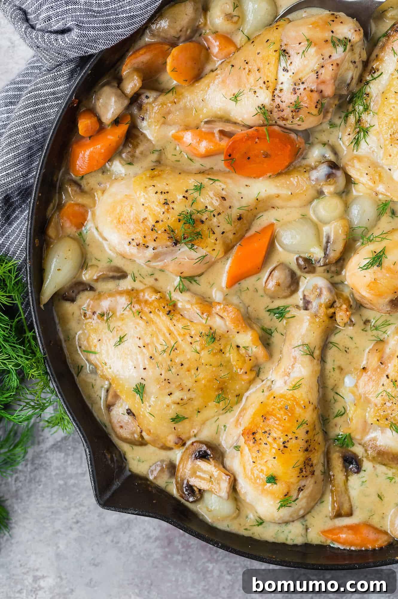Golden-brown chicken fricassee, rich with creamy sauce and vegetables, served in a black skillet.