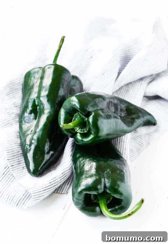 Poblano Perfection: 4 Roasting Methods 2 Image of fresh, raw, poblano peppers.