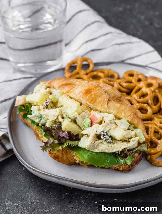 A delicious curried chicken salad served on a flaky croissant with fresh greens and mini pretzels on the side.