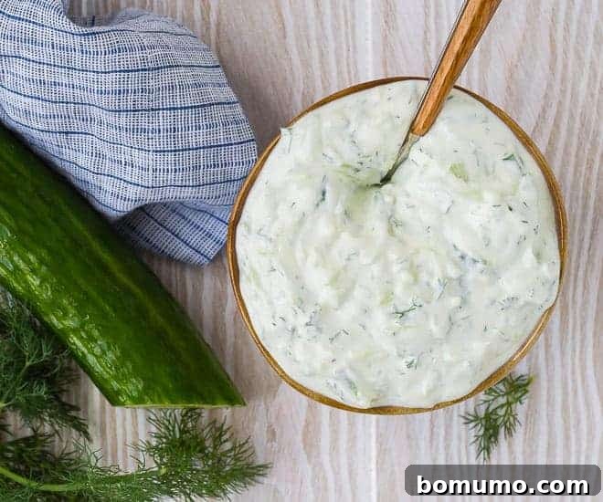 Overhead view of a bowl of creamy yogurt sauce made with tomatoes, dill, and lemon.