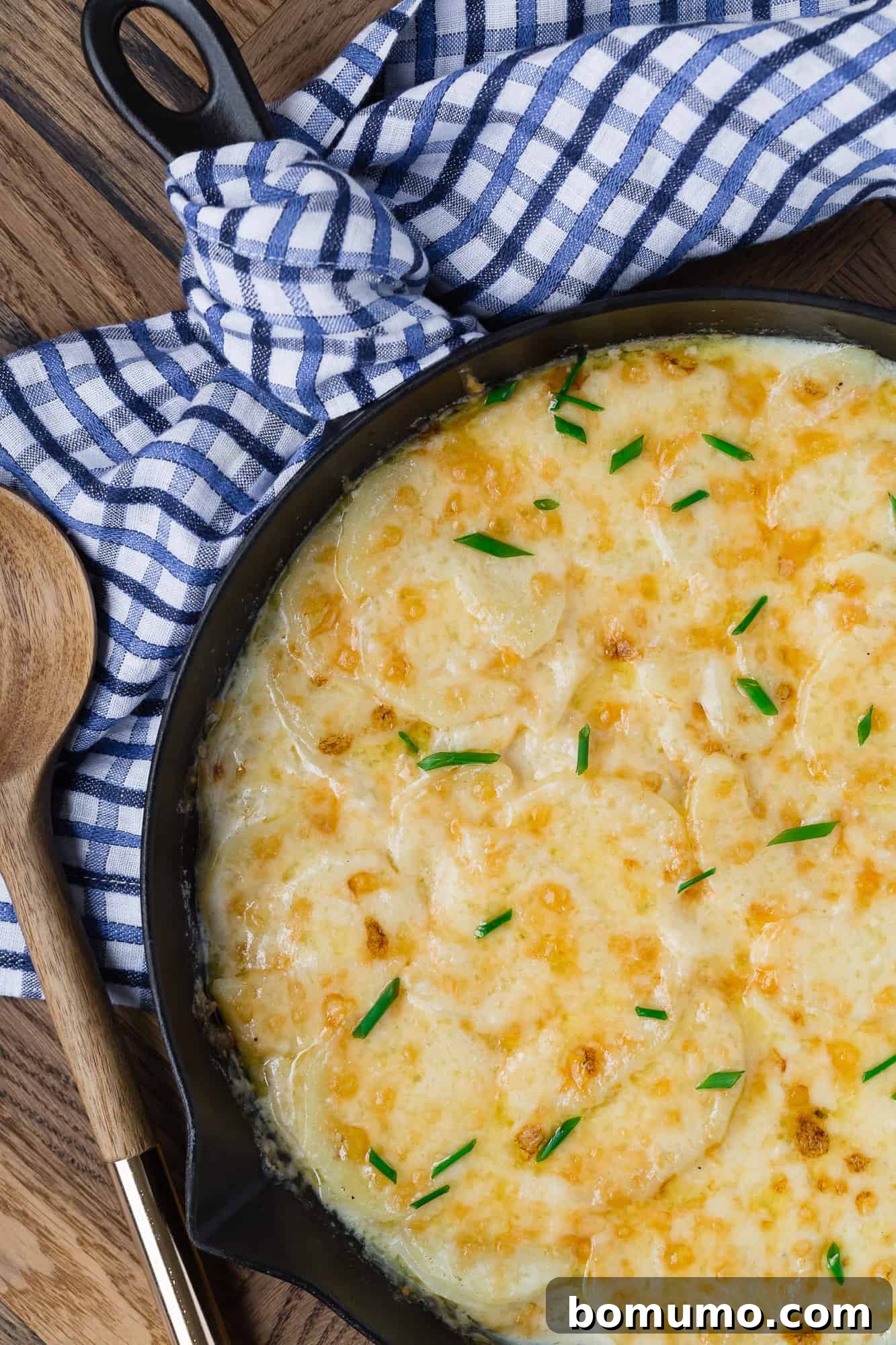 Delicious scalloped potatoes presented beautifully in a black cast iron skillet.