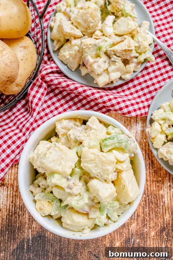 Overhead view of creamy potato salad in two plates and one bowl, with whole unpeeled potatoes in the background of the image.