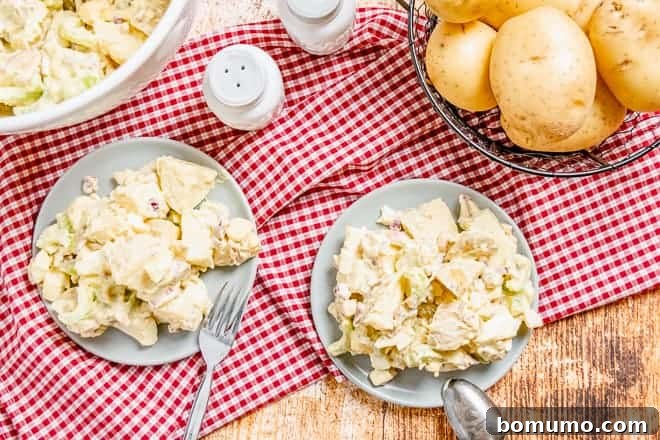 Two plates of creamy mayonnaise mustard potato salad on a red and white checkered cloth.