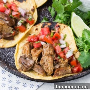 Carnitas on a corn tortilla with pico de gallo, a perfect serving suggestion.