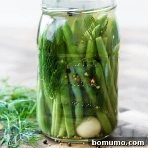 A glass jar filled with pickled green beans, dill, spices, and a garlic clove, sitting on a wooden surface.