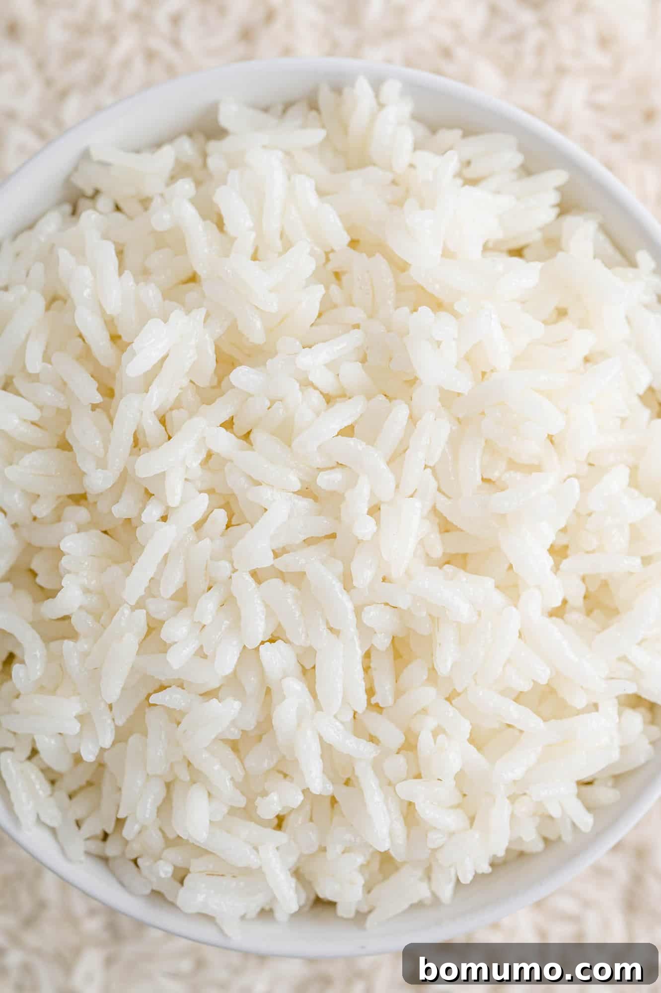 Close up of perfectly cooked white rice in a white bowl, showcasing its fluffy texture.