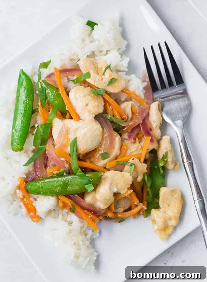 Zesty Ginger Basil Chicken 2 A beautifully plated Ginger Chicken Stir-Fry, served over white rice, showcasing tender chicken, bright sugar snap peas, vibrant carrots, and thinly sliced red onions, all elegantly garnished with fresh basil ribbons.