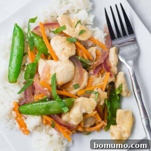 Overhead view of a white plate filled with white rice, chicken, sugar snap peas, carrots, and red onions in stir fry form. It is garnished with fresh basil ribbons.