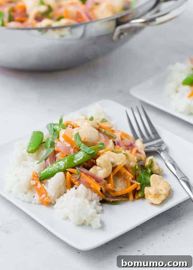 Zesty Ginger Basil Chicken 6 A close-up of a serving of Ginger Chicken Stir-Fry, generously garnished with fresh basil ribbons, showcasing the vibrant colors of chicken, sugar snap peas, carrots, and red onions over fluffy white rice.