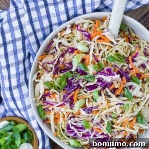 Overhead view of vibrant vinegar coleslaw in a bowl with a serving spoon. A small bowl of fresh sliced green onions and a blue and white checkered cloth are also in the picture, highlighting its fresh appeal.