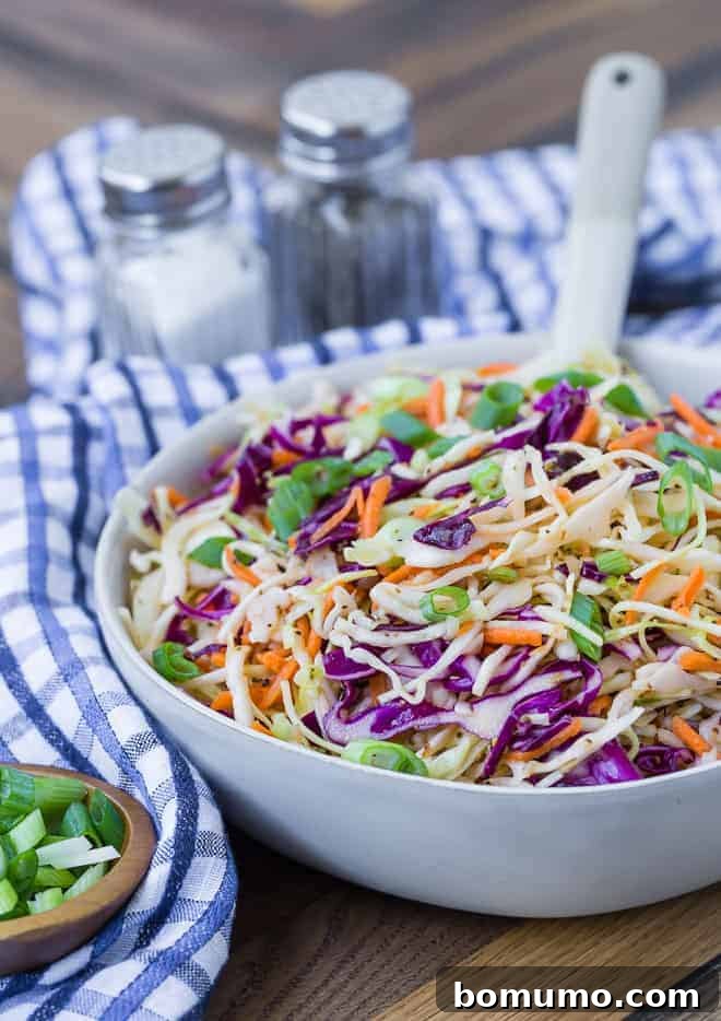 A crisp medley of shredded green and red cabbage, alongside vibrant carrots, prepared in a pristine white serving bowl. Salt and pepper shakers are gently visible in the soft-focus background, suggesting the simple seasoning that enhances its natural flavors.