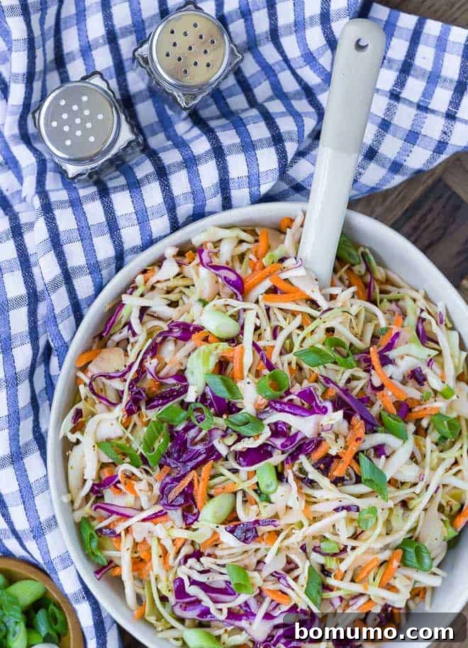 Overhead view of a generous serving of colorful vinegar coleslaw in a white bowl, accompanied by a serving spoon. A small dish of vibrant sliced green onions and a charming blue and white checkered napkin are also featured, emphasizing the dish's freshness and simple elegance.