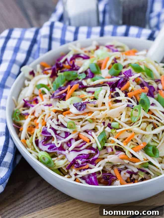 A vibrant mix of shredded green and red cabbage, and grated carrots, artfully arranged in a pristine white serving bowl, ready for dressing. Salt and pepper shakers are poised in the soft-focus background, underscoring the simplicity of seasoning for this fresh salad.