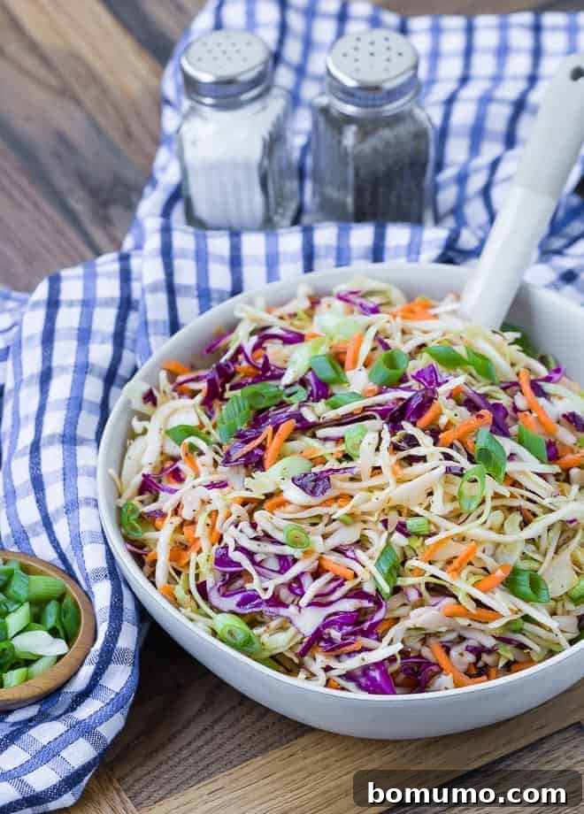 A pristine white serving bowl holds a vibrant mixture of shredded green and red cabbage, alongside crisp carrots. Salt and pepper shakers are in the background, subtly indicating the simple seasoning that enhances the natural flavors of the fresh ingredients.