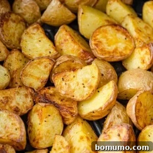 Crispy air fryer potatoes, beautifully browned and still in the air fryer basket.