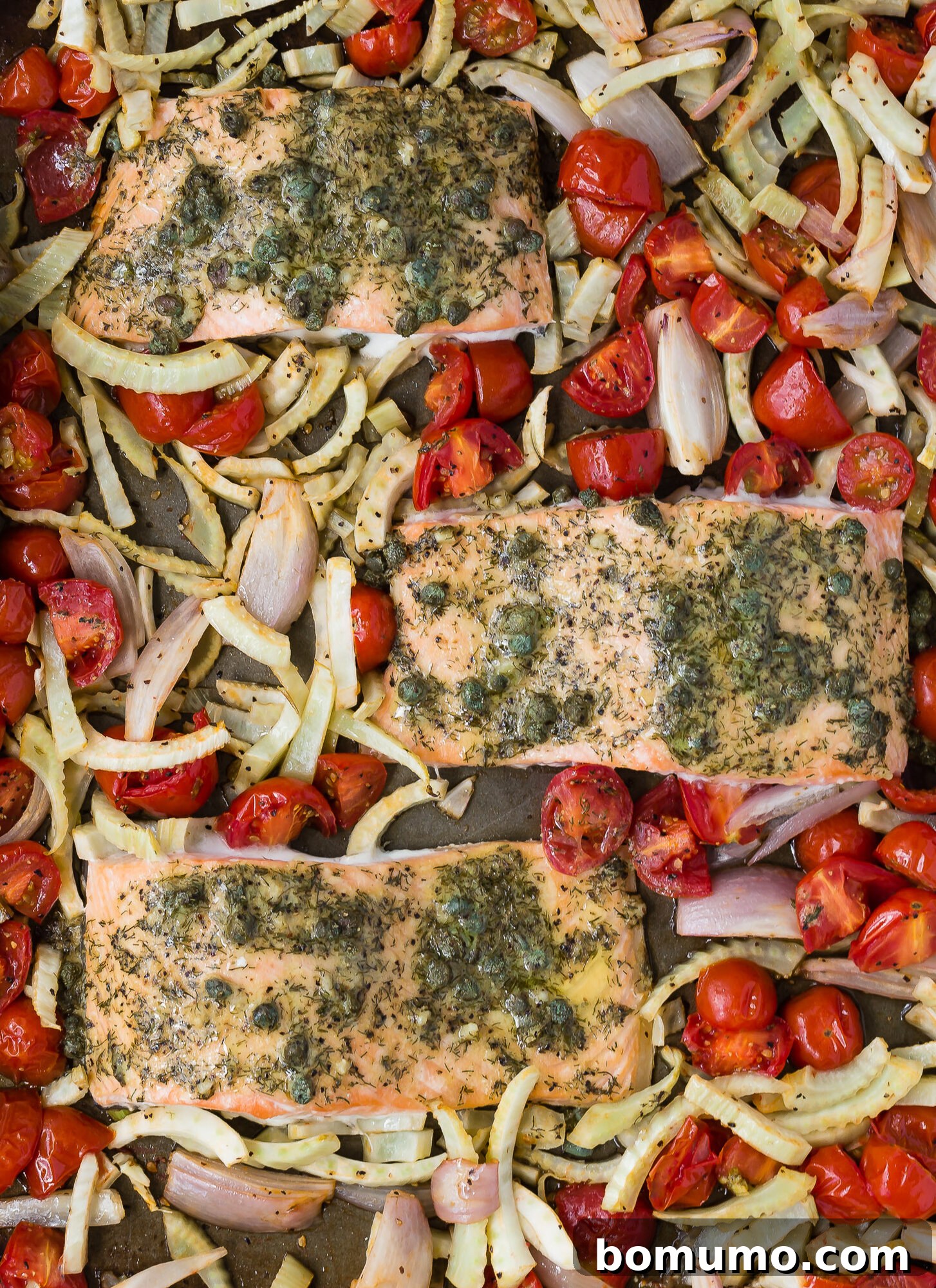 Overhead view of a beautifully roasted sheet pan dinner featuring salmon with tomatoes and fennel, ready to be served.