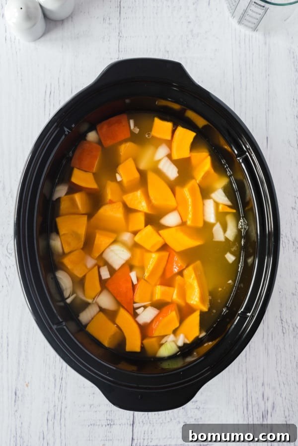 Pumpkin soup ingredients combined in a crockpot.