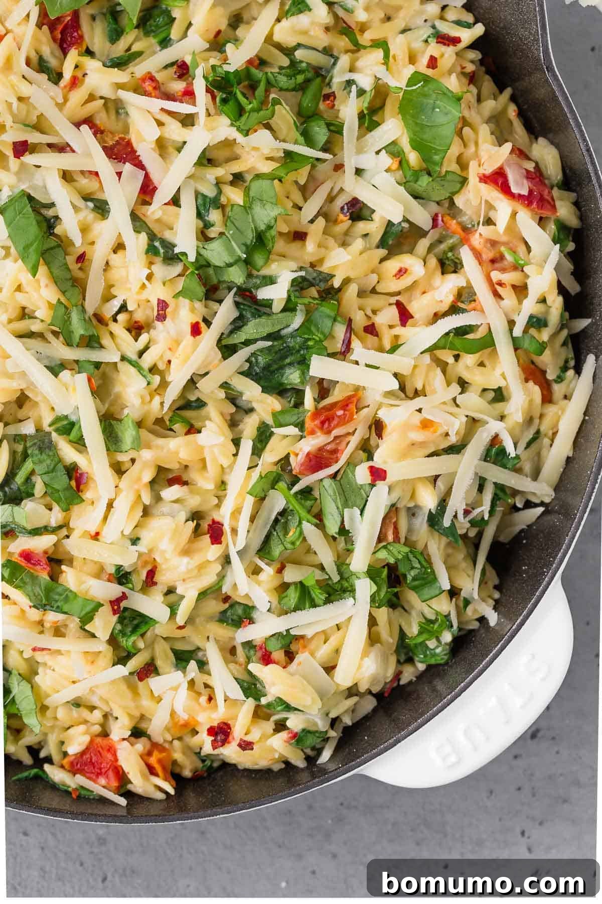 A close-up overhead perspective of creamy orzo pasta in a rustic skillet, generously adorned with vibrant sun-dried tomatoes, fresh basil leaves, grated Parmesan cheese, and a sprinkle of spicy red pepper flakes. The texture of the creamy sauce and individual orzo grains are clearly visible.