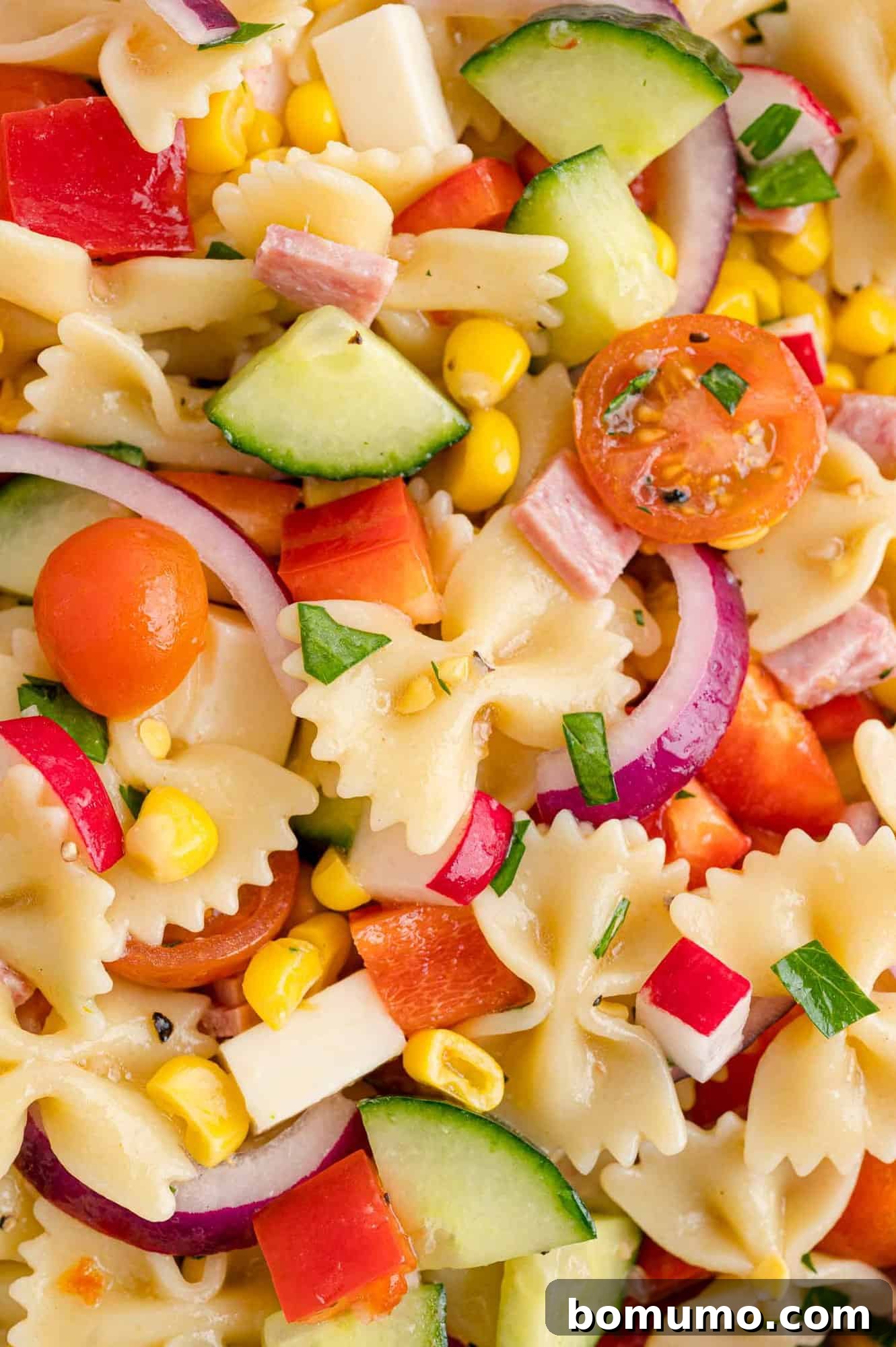 A close-up view of the summer pasta salad, showcasing a vibrant medley of tender pasta, crisp vegetables, and savory salami, filling the frame with appetizing color and texture.