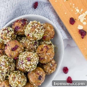 Overhead view of bowl of energy bites, with dried cranberries, oats and hemp seeds also pictured.