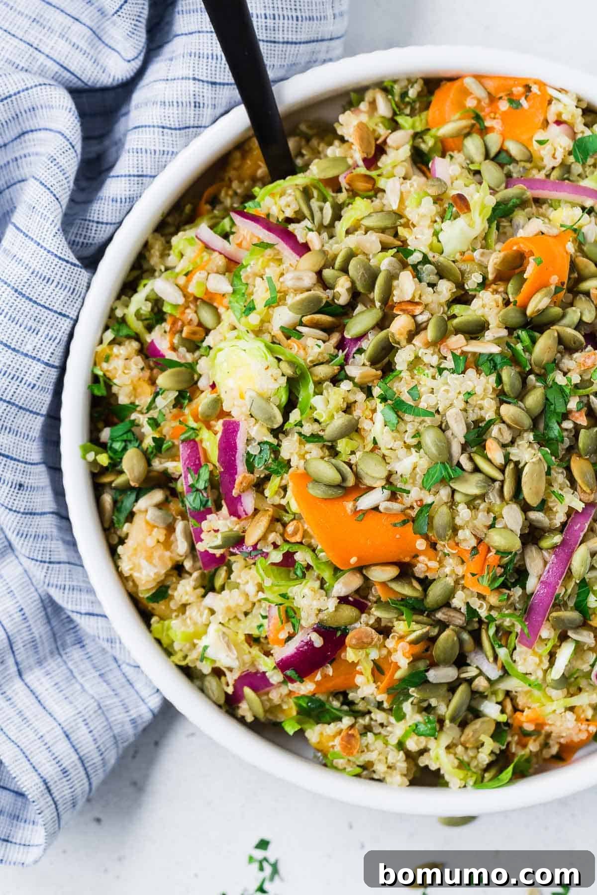 Overhead view of a beautifully assembled shaved Brussels sprouts and quinoa salad with red onions, perfect for a healthy meal.