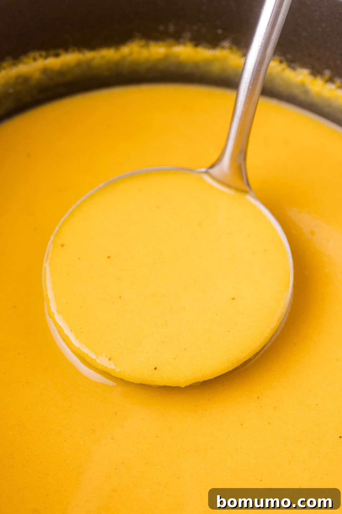 A metal ladle scooping up creamy squash soup from a pot.