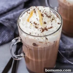 Ginger spiced hot chocolate in a mug with whipped cream and garnishes.
