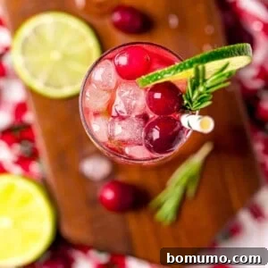 Overhead view of a gin and tonic made with cranberry juice, garnished with fresh cranberries, lime, and rosemary.