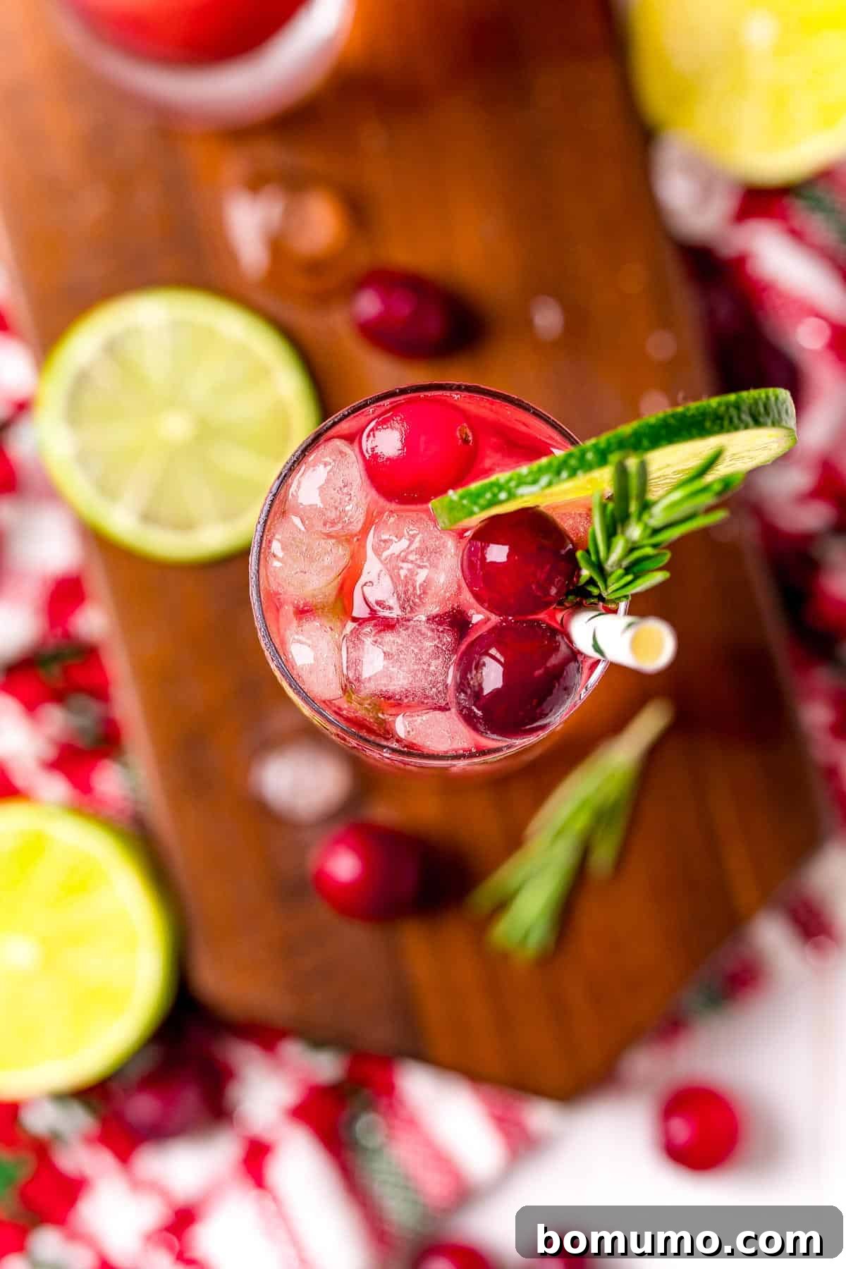 Overhead view of a drink with fresh cranberries, lime slices, and a sprig of rosemary.