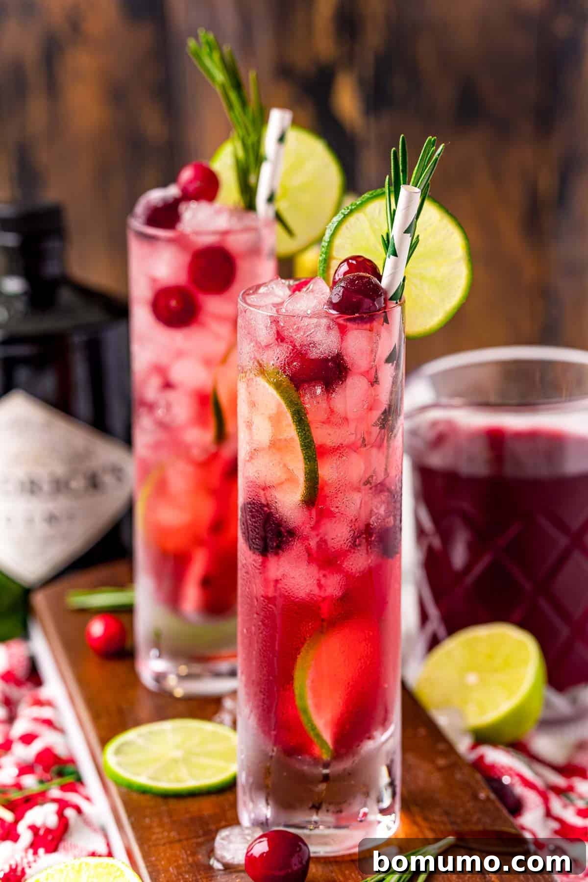 Two beautiful red cocktails with festive holiday garnishes.