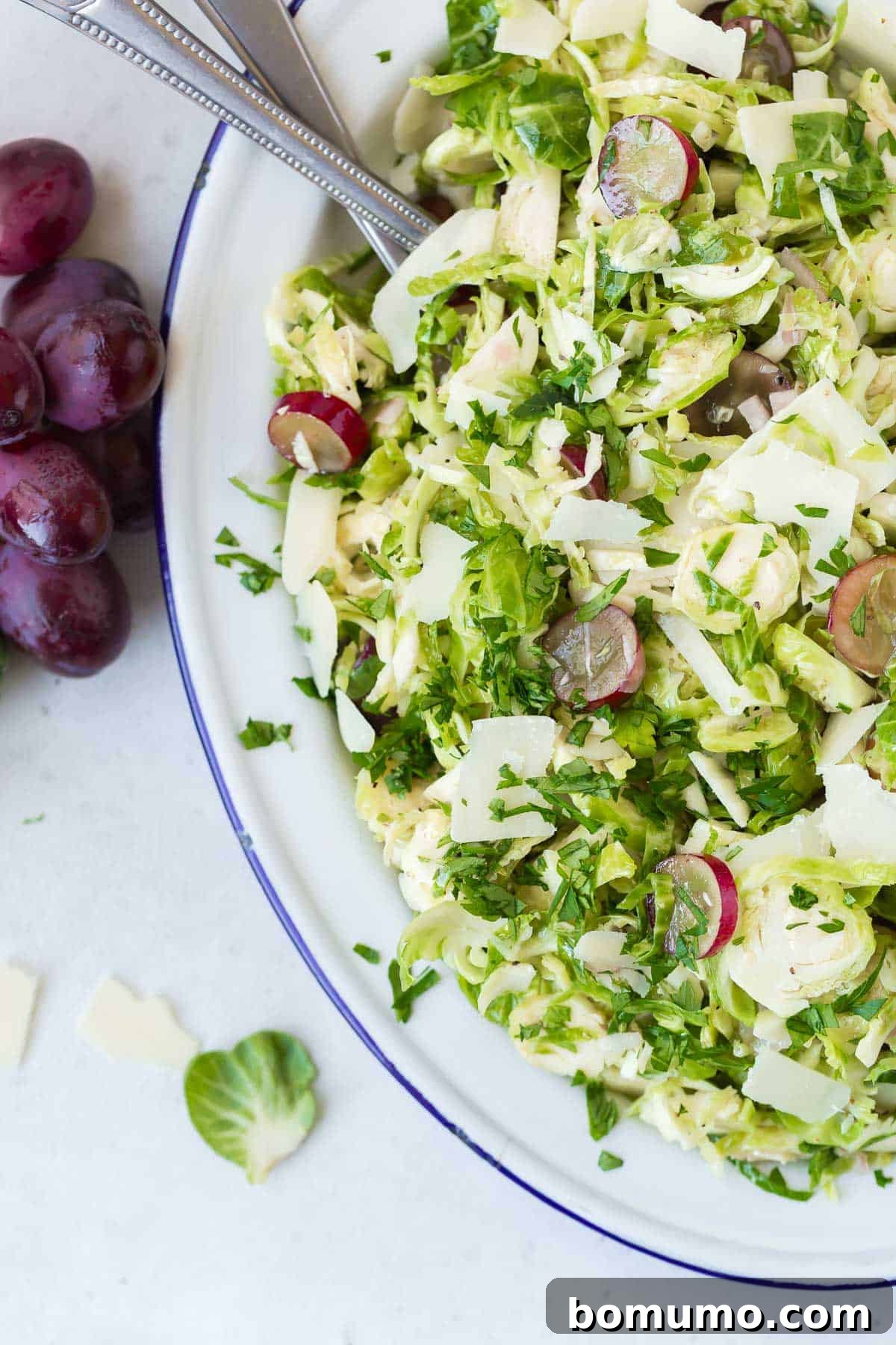 Shaved Brussels sprouts salad with red grapes, fresh parsley, and elegant Parmesan cheese curls, presented on a rustic platter.