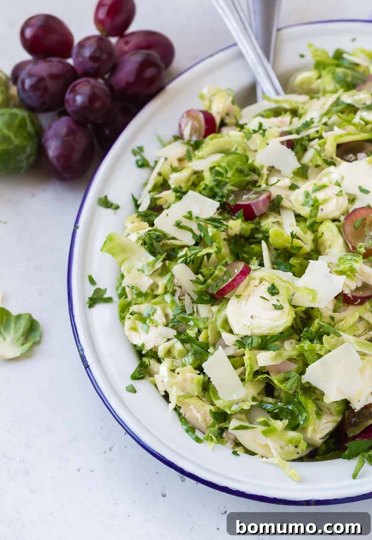Fresh shaved Brussels sprouts salad elegantly arranged on a blue-rimmed white plate, featuring vibrant green sprouts and juicy red grapes.