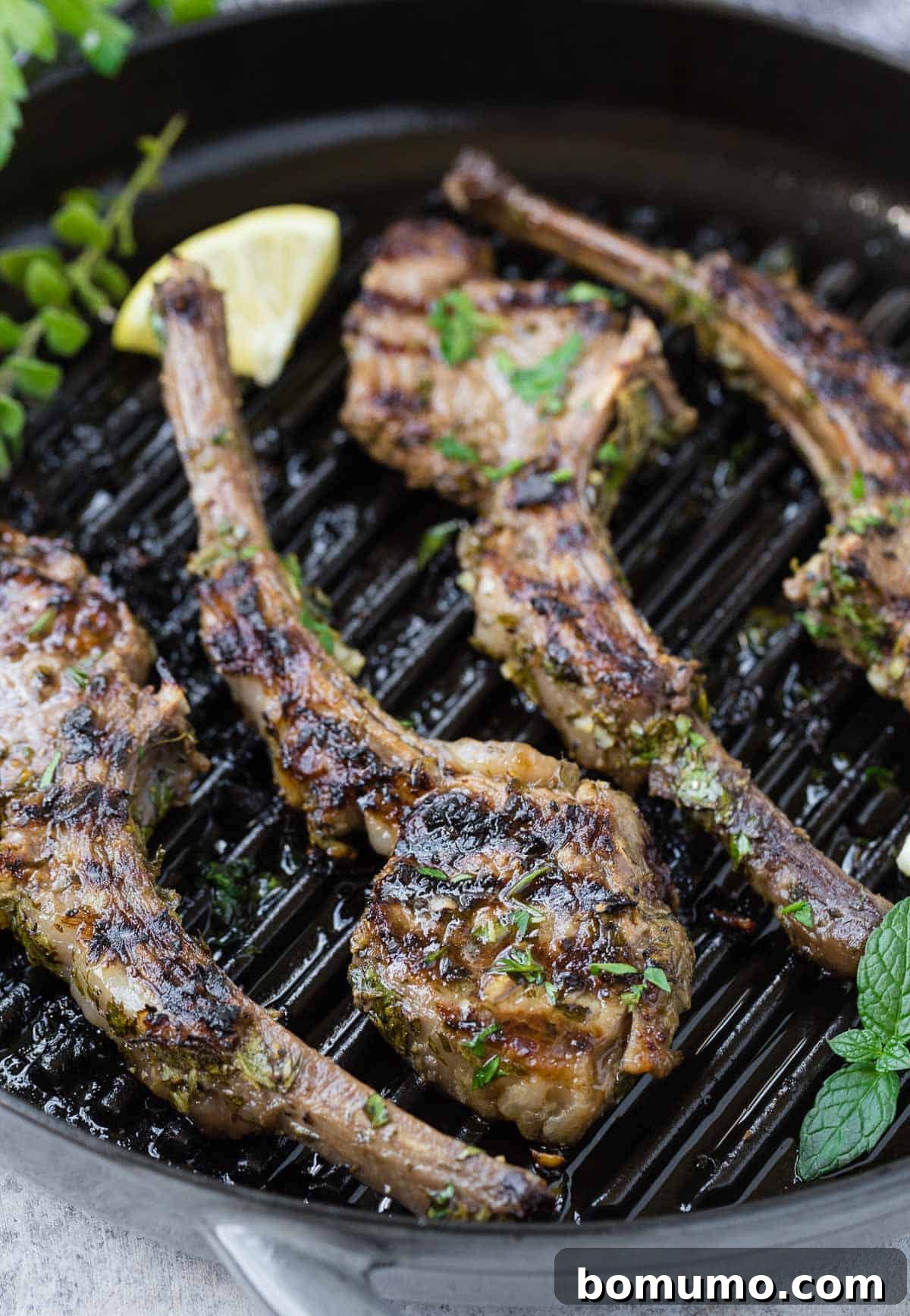 Aromatic Garlic Herb Lamb Chops 4 Close-up of freshly grilled lamb chops arranged neatly on a pan, garnished with herbs.
