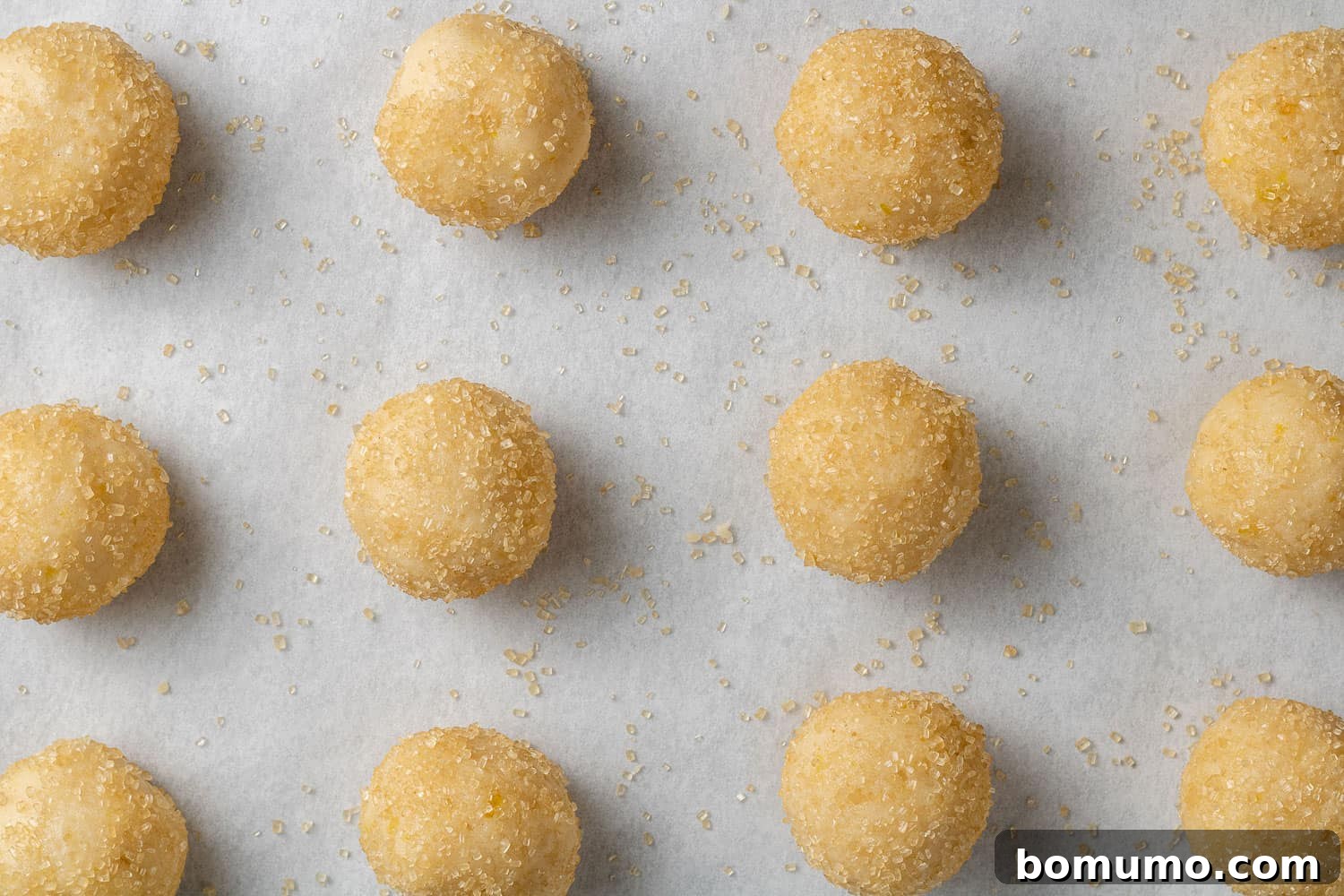 Unbaked lemon cookie dough balls on a parchment paper lined baking sheet.