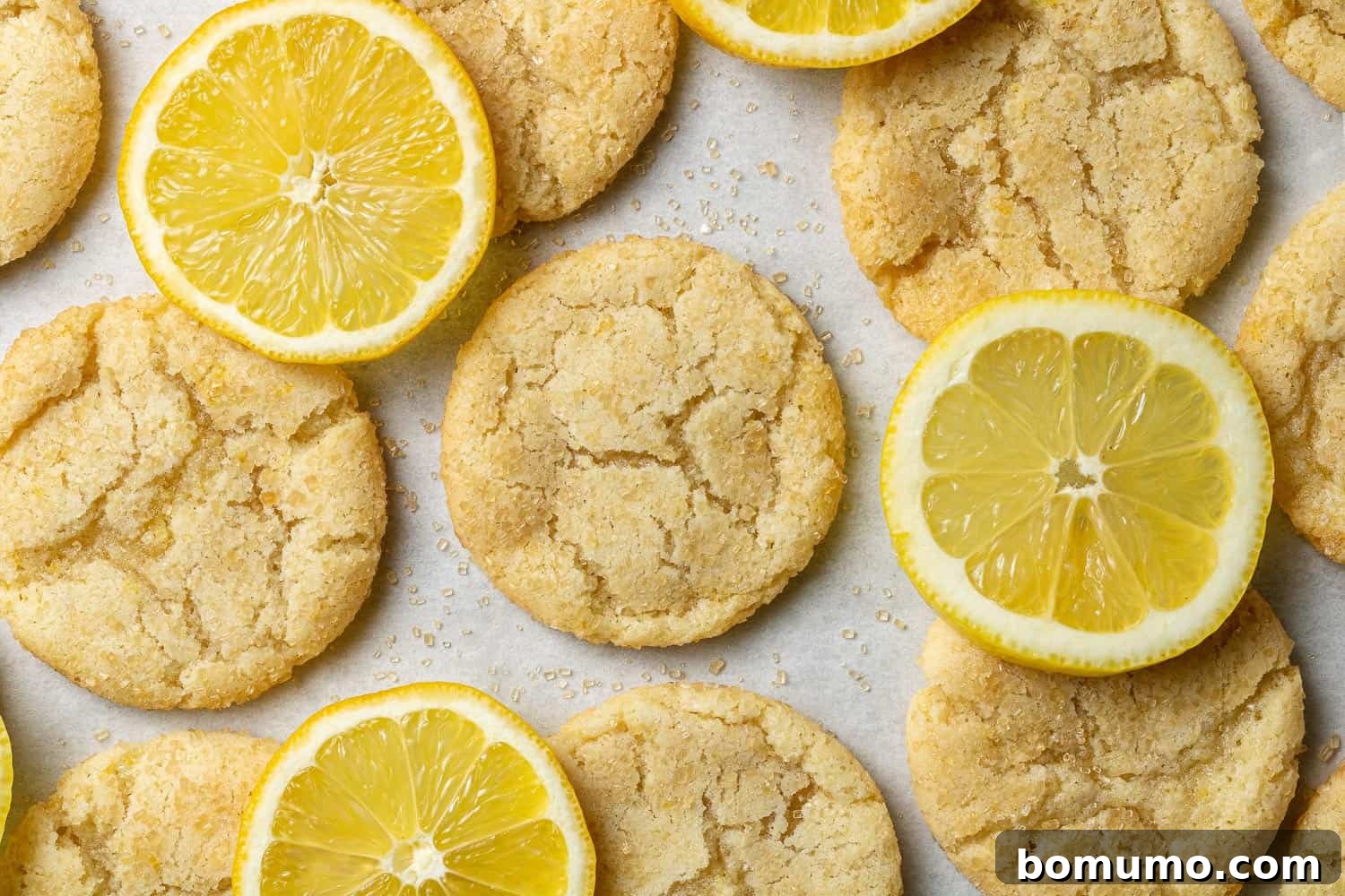 Close up of lemon sugar cookie with crinkled top, by lemon slices.