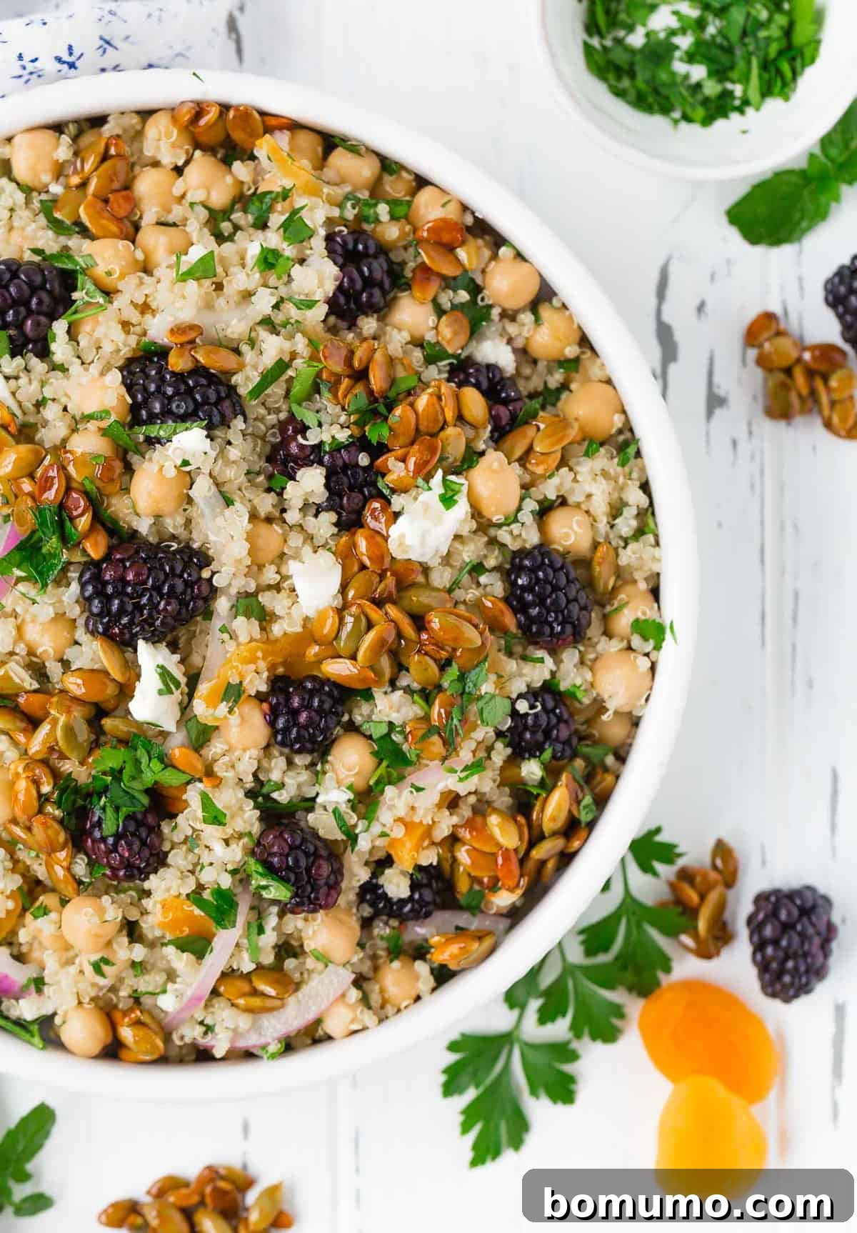 Close up of a quinoa and chickpea salad with pepitas, blackberries, apricots, and feta.