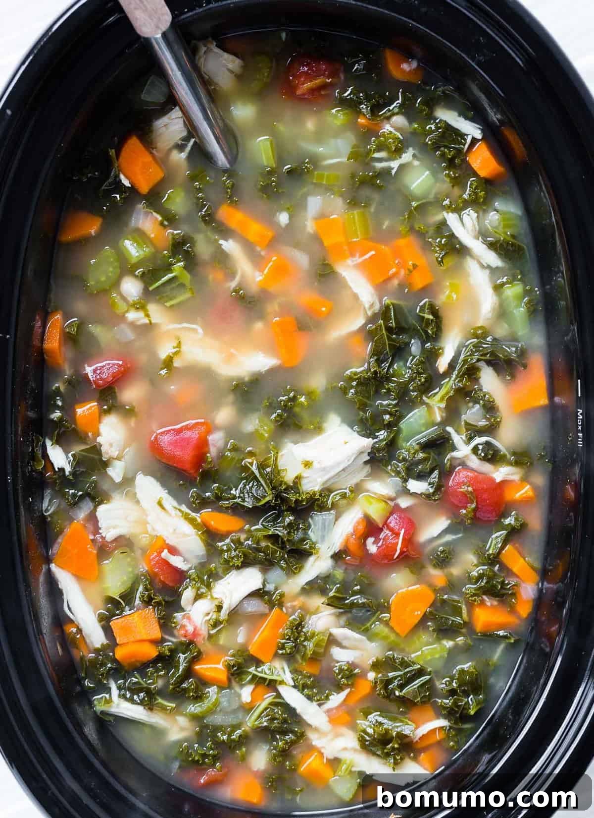 Healthy soup in a slow cooker with a ladle.