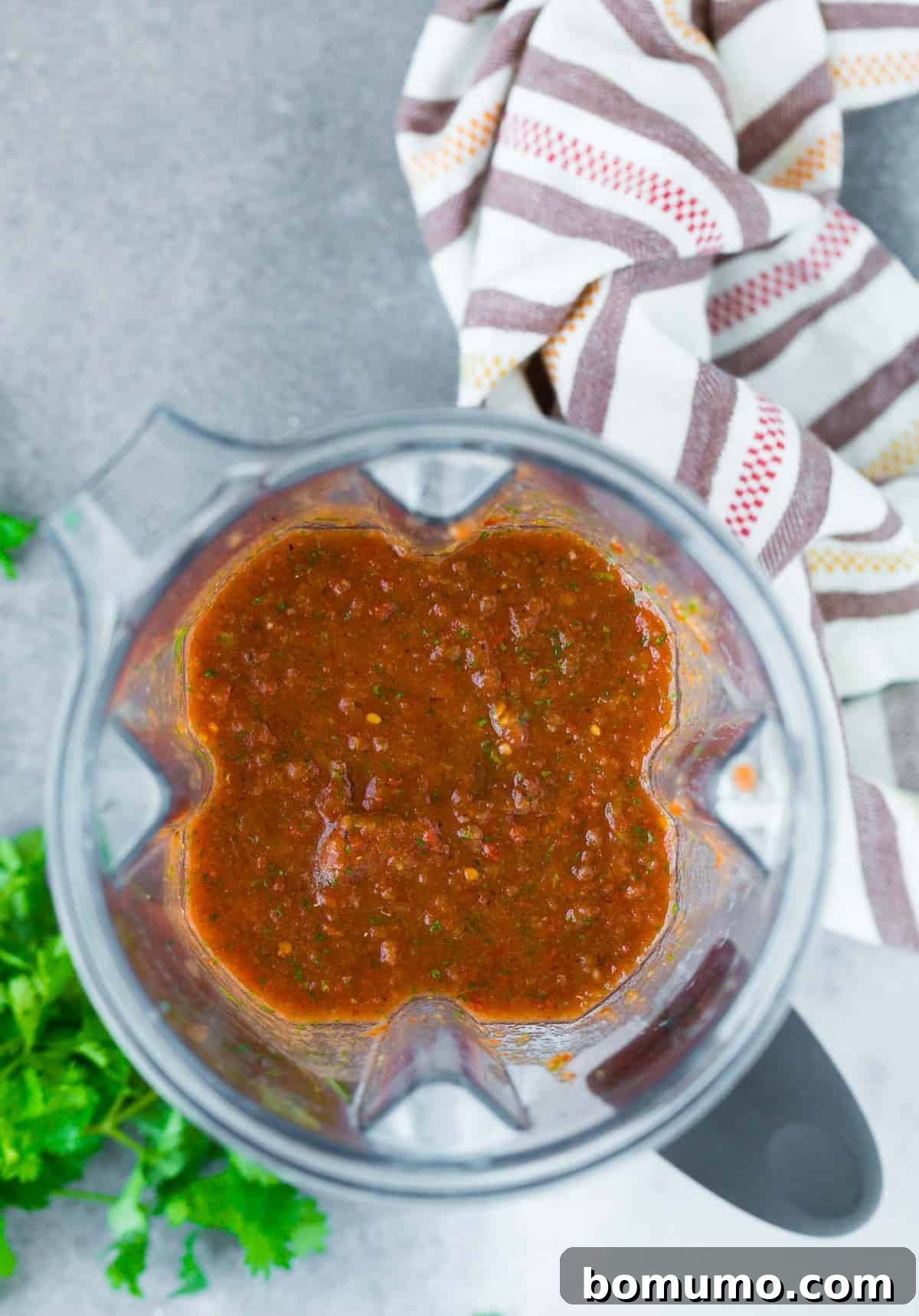 Overhead view of homemade salsa in a blender.