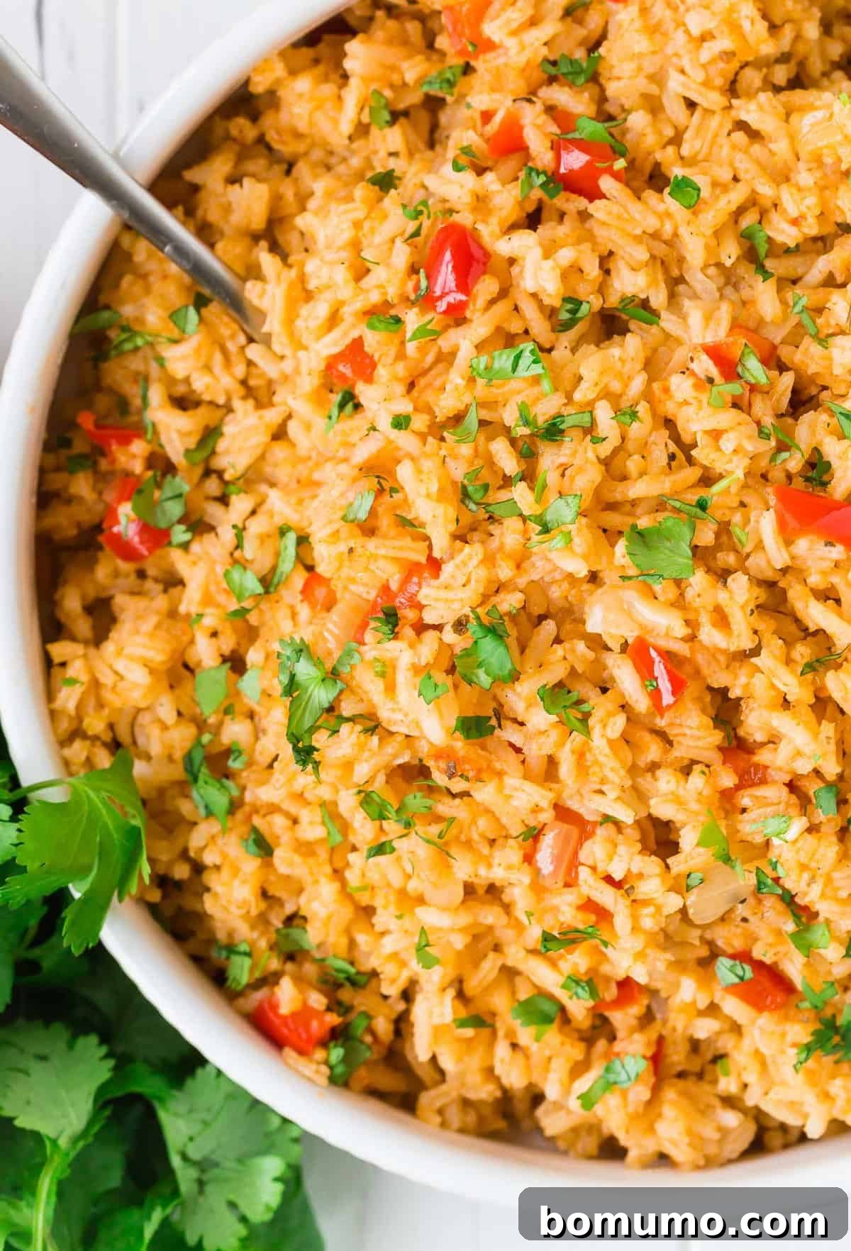 Overhead view of a large bowl of colorful rice garnished with fresh cilantro.