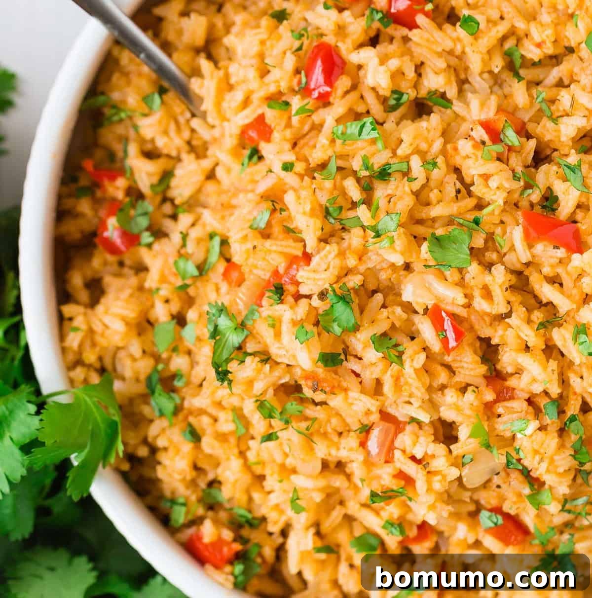 Close up of rice cooked with red peppers, onions, tomato paste, and spices.