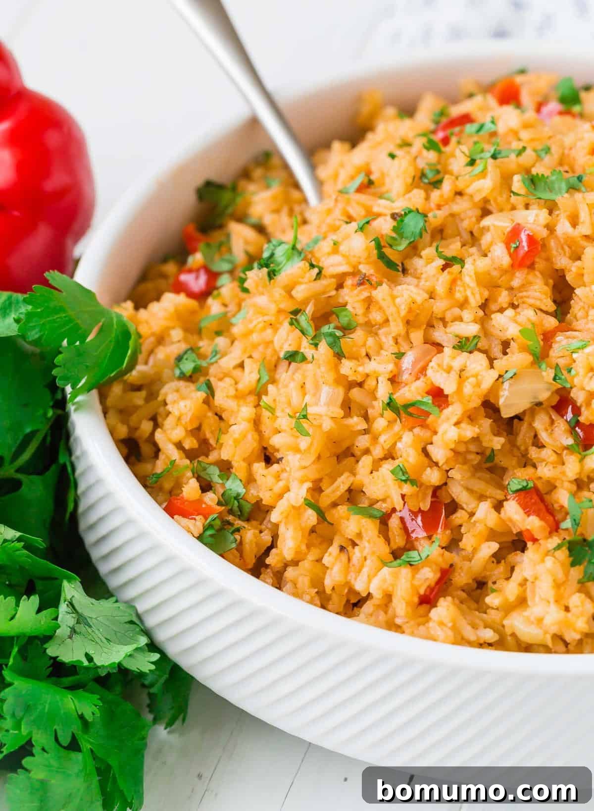 Rice in a bowl garnished with cilantro.