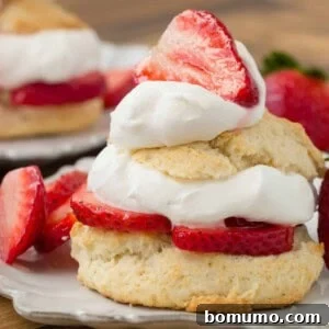 Layered strawberry shortcake on a white plate.