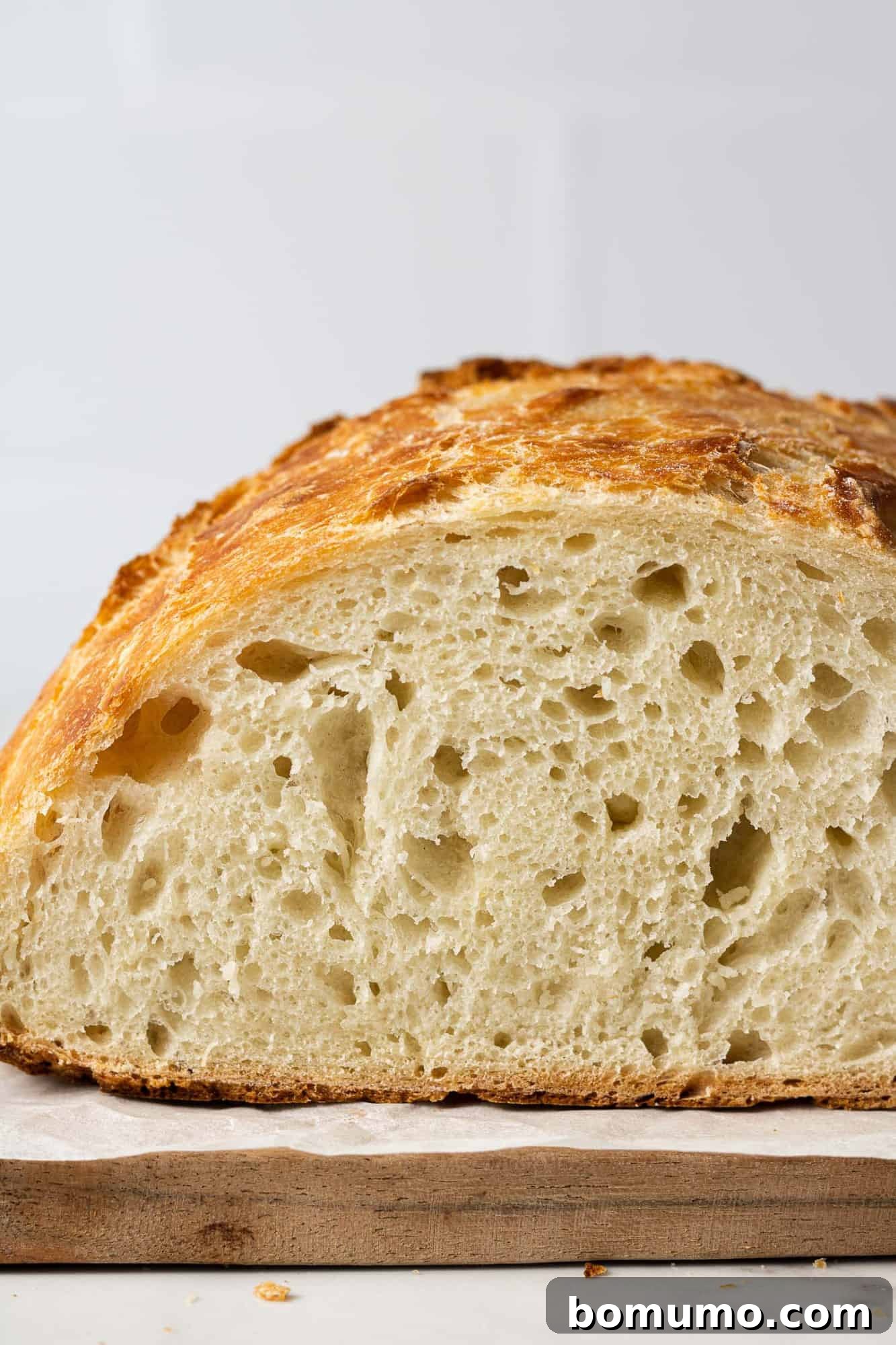 Close-up of a cut loaf of Dutch oven bread, showcasing its beautiful open crumb and crusty texture.